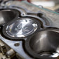 WSRD Terminator Piston Set | Can-Am X3